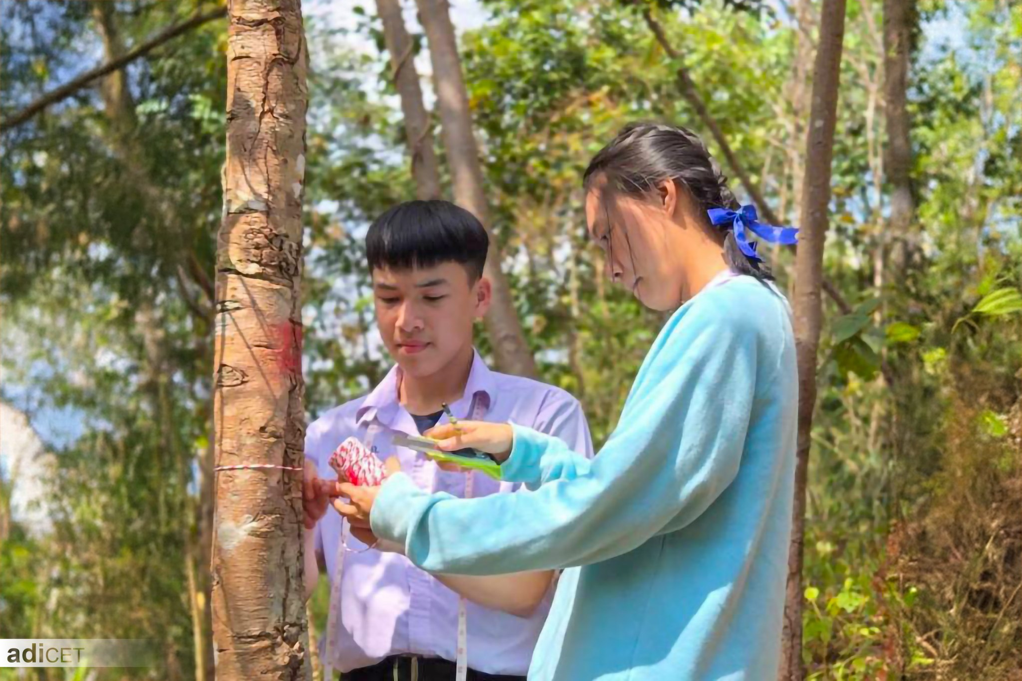 งานวิจัย